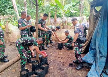 Siasati Pekarangan, Prajurit Koramil 412-10 Tanjung Raja Lomba Demontrasi Plot