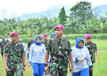 PANEN DI “MARINES 7 RANCH” KETAHANAN PANGAN YONIF 7 MARINIR