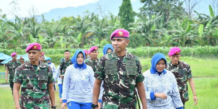 PANEN DI “MARINES 7 RANCH” KETAHANAN PANGAN YONIF 7 MARINIR