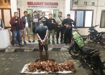 Tekab 308 Presisi Polres Tulang Bawang Tangkap Pelaku Spesialis Curat Kabel PLN Yang Merupakan DPO dan Residivis