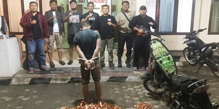 Tekab 308 Presisi Polres Tulang Bawang Tangkap Pelaku Spesialis Curat Kabel PLN Yang Merupakan DPO dan Residivis