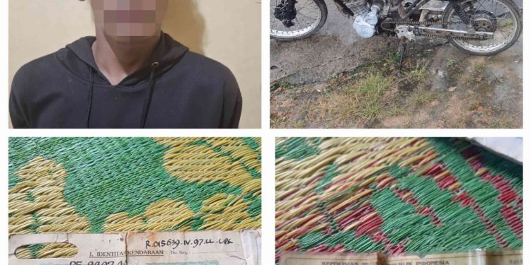 Tekab 308 Presisi Polres Tulang Bawang Barat Berhasil Ungkap Kasus Curat, Pelaku Diamankan