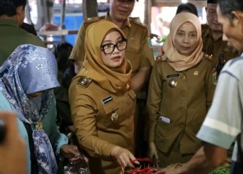 Bupati Ela Siti Nuryamah Sidak Ketersediaan dan Harga Bahan Pokok Pasar Sukadana