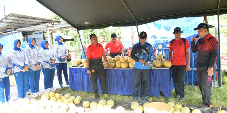 YONIF 7 MARINIR PANEN RAYA MELON PERTIWI