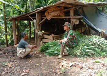 Anggota Satgas TMMD ke 123 Kodim 0412/LU Komsos dengan Peternak Sapi