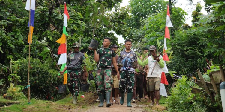 Pohon Pinang dan Pohon Duren Jadi Idola Tanaman Warga Subik bersama TMMD ke 123 Kodim 0412/LU