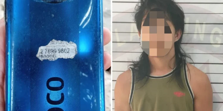 Bobol Rumah Orang, Pelaku Residivis Curhat di Sungkai Utara Kembali Diamankan Polisi