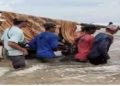 Karena Sakit, Peratin Peratin Pekon Bandar Dalam Harus Ditandu Menyeberangi Laut Untuk Mendapatkan Perawatan Medisi