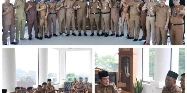 Bupati Pesibar Menerima Audiensi APDESI