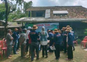 Hadapi Tantangan Pertanian Modern, Dinas TPH Lampura Adakan SLT Berkelanjutan Bagi Petani